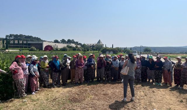 Gelibolu’da kadın emekçilere kanser eğitimi verildi