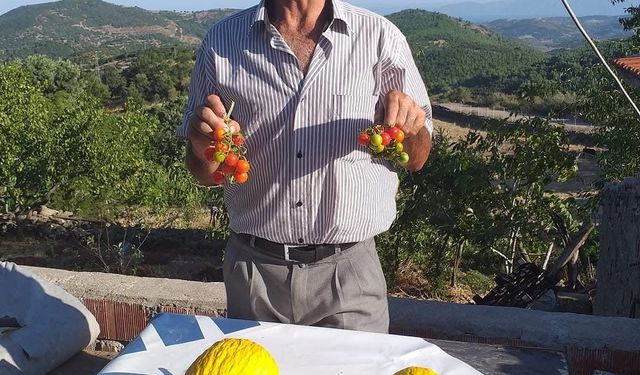 Ayvacıklı eski muhtarın cansız bedenine ulaşıldı
