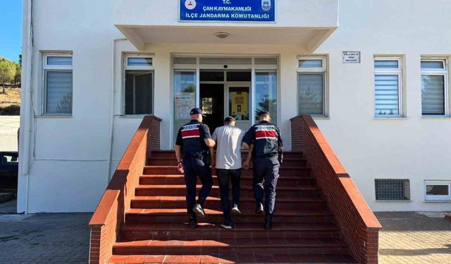 Çanakkale’de yangına sebep olan biçerdöver operatörü hakkında adli işlem