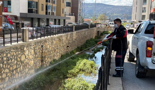 Çanakkale’de Sivrisinek ve Haşereye Karşı Larvasit Çalışması Sürüyor