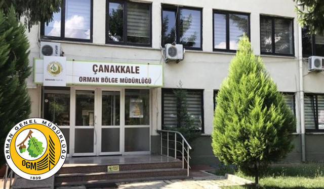 YANGIN EMNİYET YOL VE ŞERİTLERİ PLANI YAPIMI HİZMETİ ALINACAKTIR