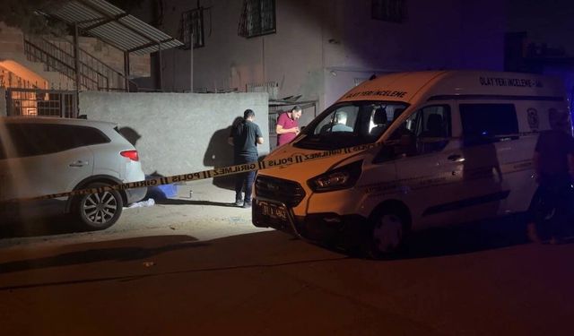 Kardeş cinayetinin nedeni kira geliri çıktı