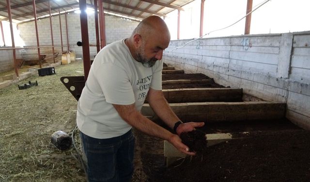 Bahçesinde ürettiği solucan gübresi gelir kaynağı oldu