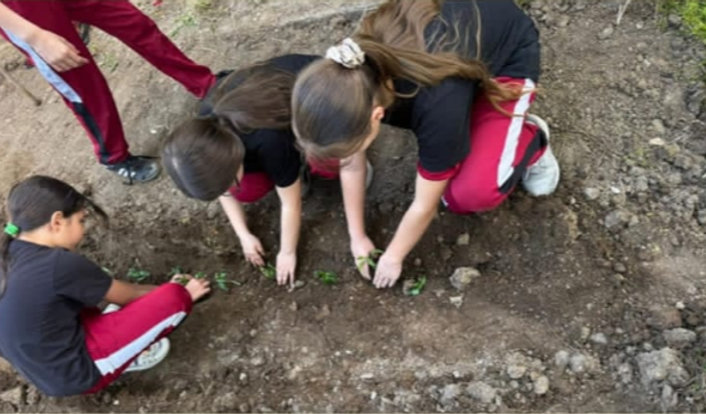 Çanakkale ve Balıkesirli Öğrencilerden Orman Yangınlarına Karşı Yapay Zekâ Destekli Proje