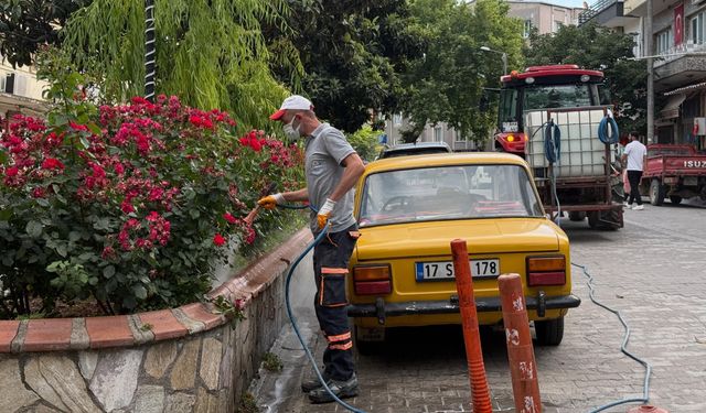 Lapseki’de haşere ve zararlılara karşı etkin mücadele!