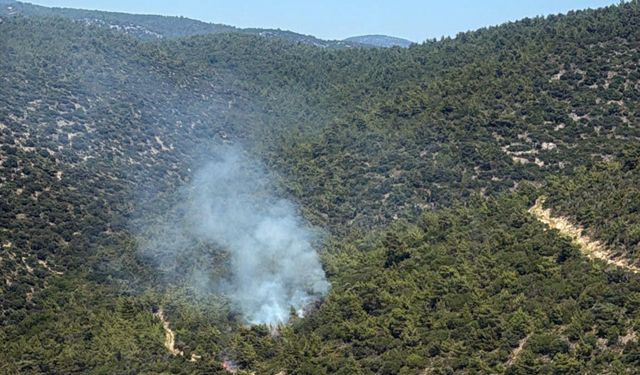 Milas Kazıklı Koyu'nda makilik alanda yangın çıktı