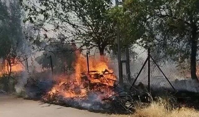 Ormanlık alanda çıkan yangın korkuttu!