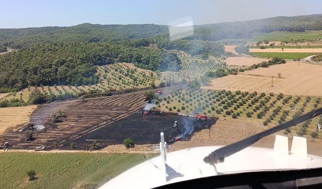Tarım arazisinde çıkan yangın ormana sıçramadan söndürüldü