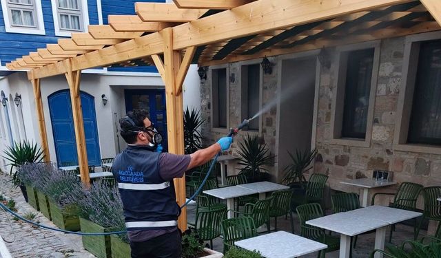 Bozcaada'da haşerelere karşı mücadele!
