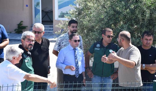 Karabiga'da Şeremet Deresi Köprüleri Yenileniyor