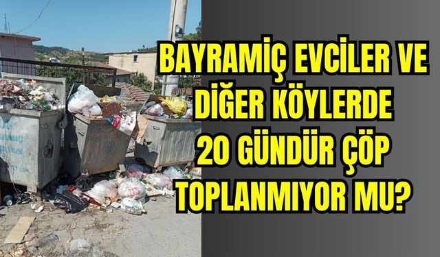 Bayramiç Evciler Köyü'nde çöp krizi vatandaşı isyan ettirdi