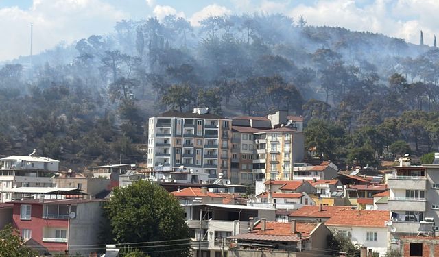 Kazdağları eteklerindeki yangın Zeytinli Mahallesine doğru ilerliyor