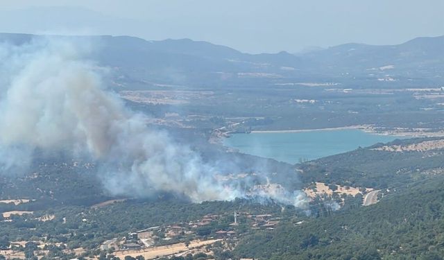 Ayvacık'ta otluk alanda çıkan yangına müdahale sürüyor