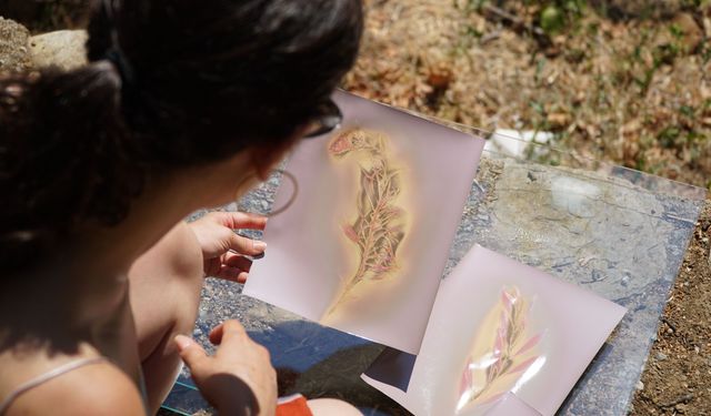 Kazdağları'ndaki Doğaya Sanat Programı Tamamlandı