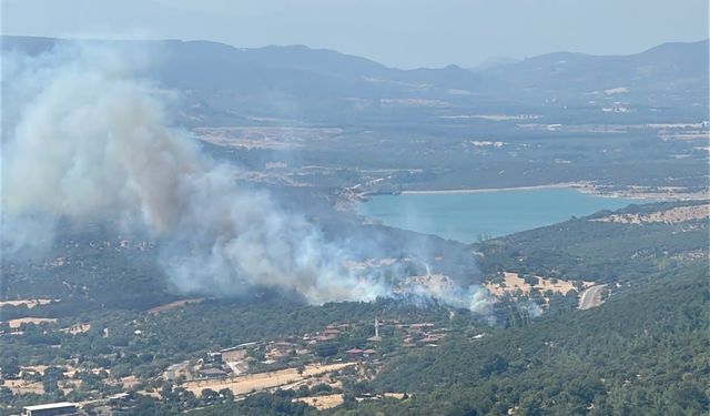 Ayvacık’ta yangın ormana sıçramadan kontrol altına alındı