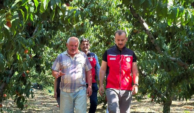Kocadere’de dalından sofraya şeftali yolculuğu başladı!