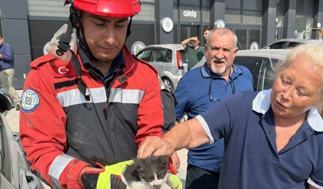 Menteşe'de kedi kurtarma operasyonu!