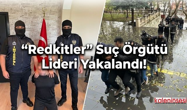 "Redkitler" Suç Örgütü Lideri Yakalandı!