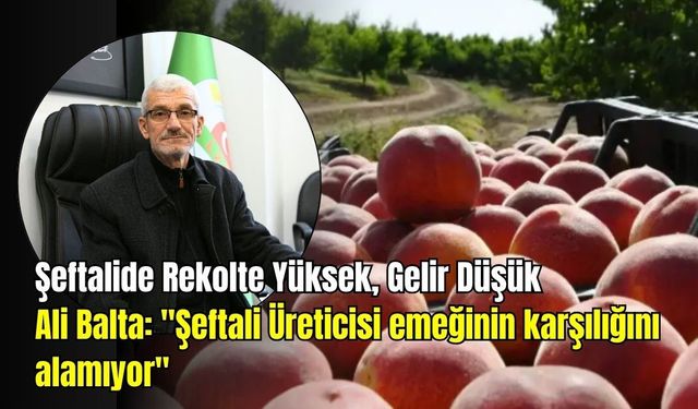 Dalında Bereket, Cebinde Zarar: Şeftali Üreticisi Alarm Veriyor