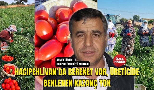 Biga'da Salça Kazanları Kaynıyor, Üretici Hesap Yapıyor