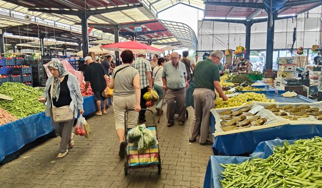 Vatandaş tezgâh tezgâh dolaştı! Çanakkale Cuma Pazarı'nda hangi ürün kaç lira oldu?