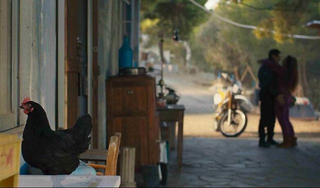 Bir Tavuğun Gözünden Yaşamın Filmi