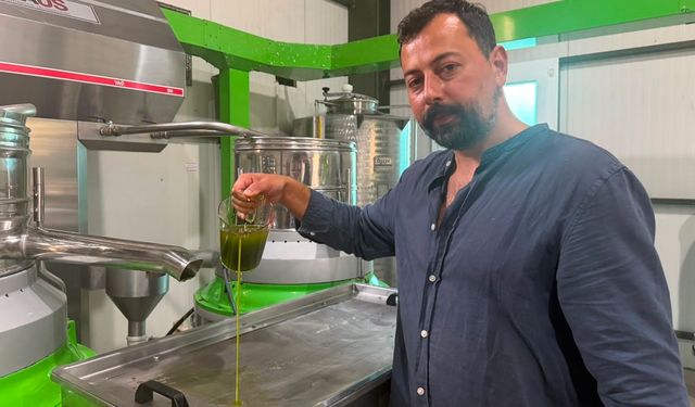Avrupa ilaç yerine ilk hasat zeytinyağı içiyor