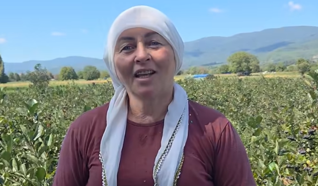 Yenice'den Aronya hasadı dikkat çekiyor