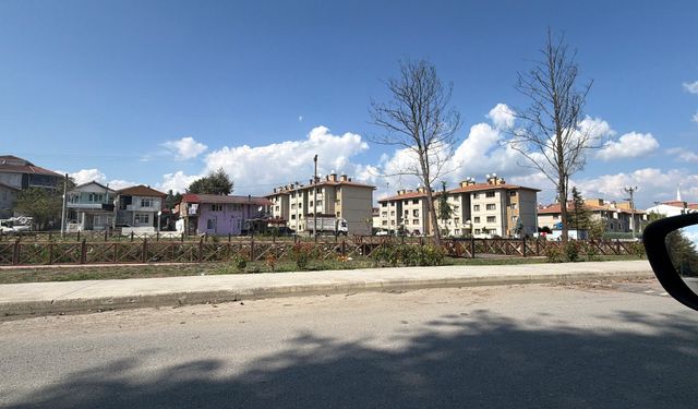 Annesini tabanca ile vuran şahıs tutuklandı