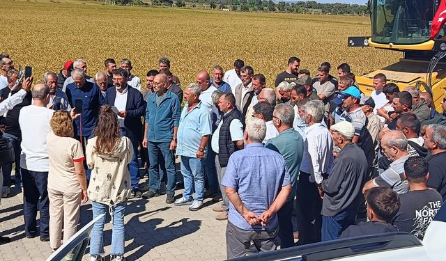 Biga Ziraat Odası çeltik fiyatı için rakam verdi: “Belirsizlik artık sona ermeli”