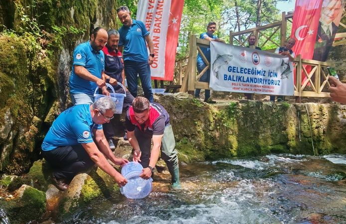 Kırmızı benekli alabalık yavruları Ayazma’da su ile buluştu