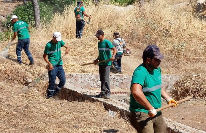 Yangınlara karşı Ayvalık'ta kuru ot temizliği aralıksız sürüyor