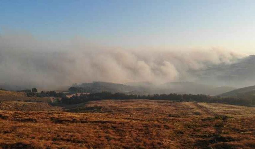 Çanakkale'deki orman yangının dron görüntüleri felaketi gözler önüne serdi