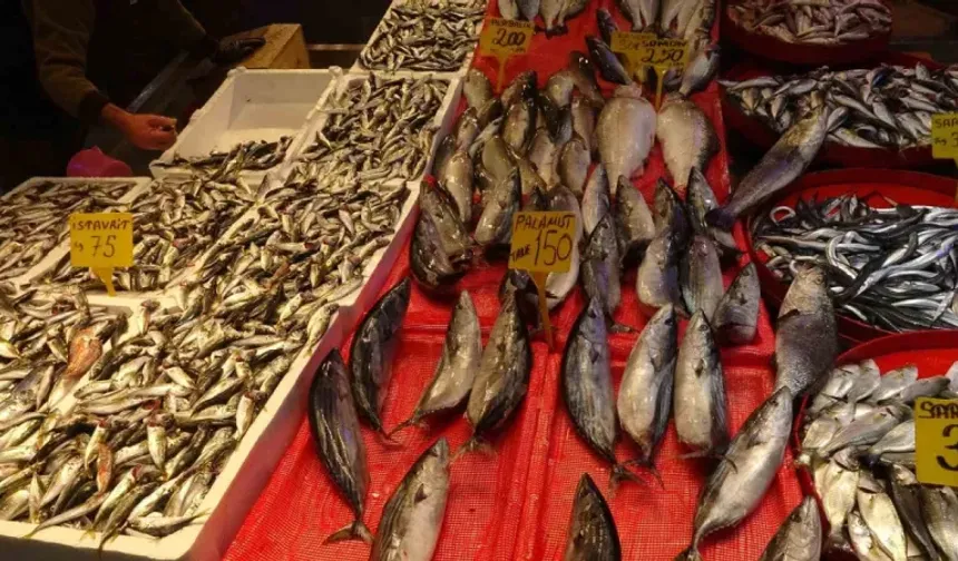 Karadeniz’de balık stokları azalıyor