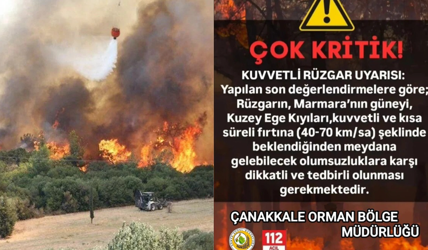 Çanakkale'de orman yangını alarmı, yasaklara uymayanlara işlem