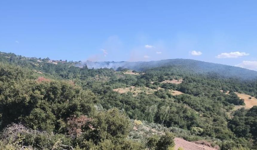 Yangının sebebinin sigara izmariti olduğu belirlendi