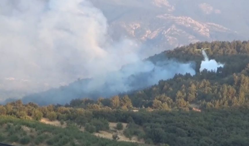 Bayramiç’te orman yangını (9 Temmuz 2025)