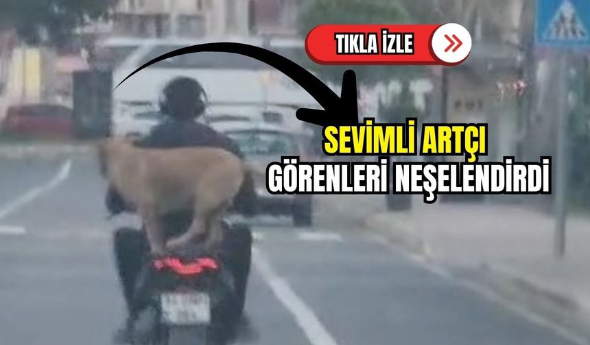 Sevimli artçı görenleri neşelendirdi