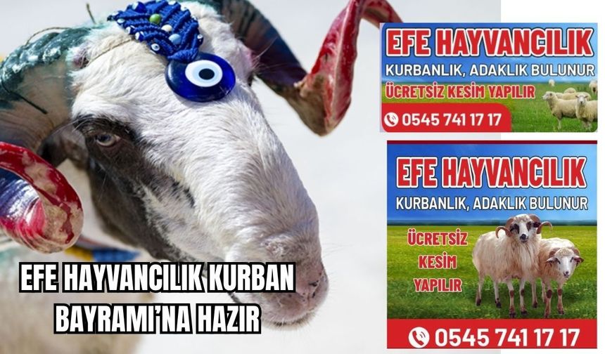 EFE Hayvancılık Kurban Bayramı’na Hazır