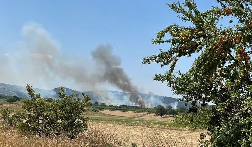 Çanakkale Orman Bölge Müdürlüğü'nden uyarı!