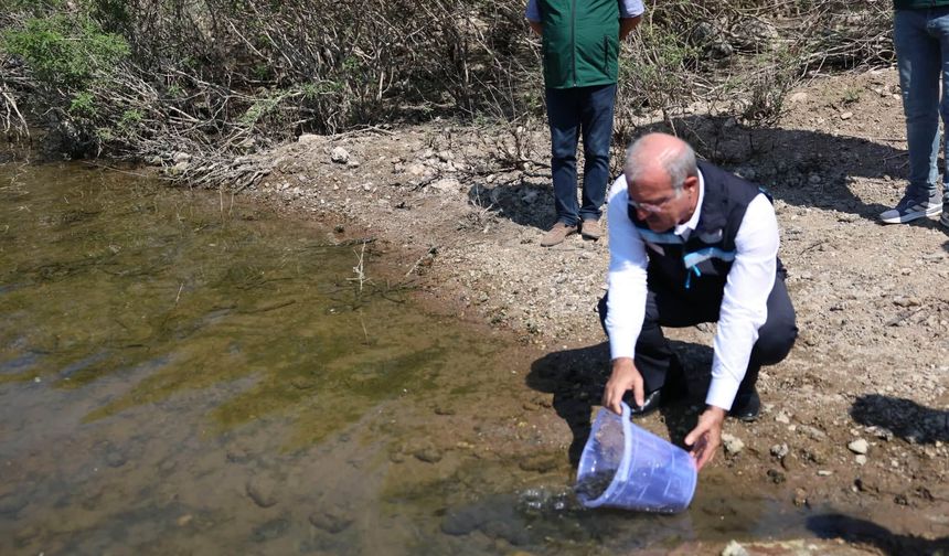 Atikhisar Barajı’nda balıklandırma seferberliği: 348 bin sazan yavrusu suya bırakıldı