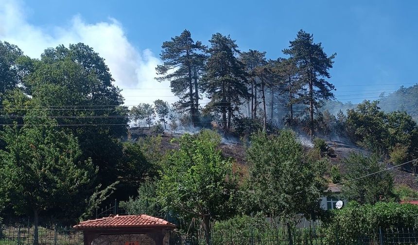 Orman yangınıyla ilgili 1 kişi tutuklandı!
