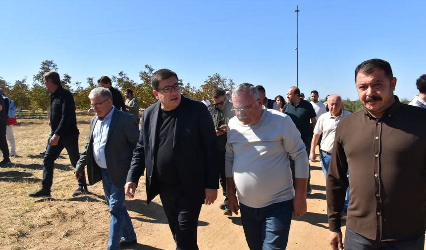 Yeni Parti Ezine Teşkilatı Zeytin Hasat Şenliği’ne katıldı