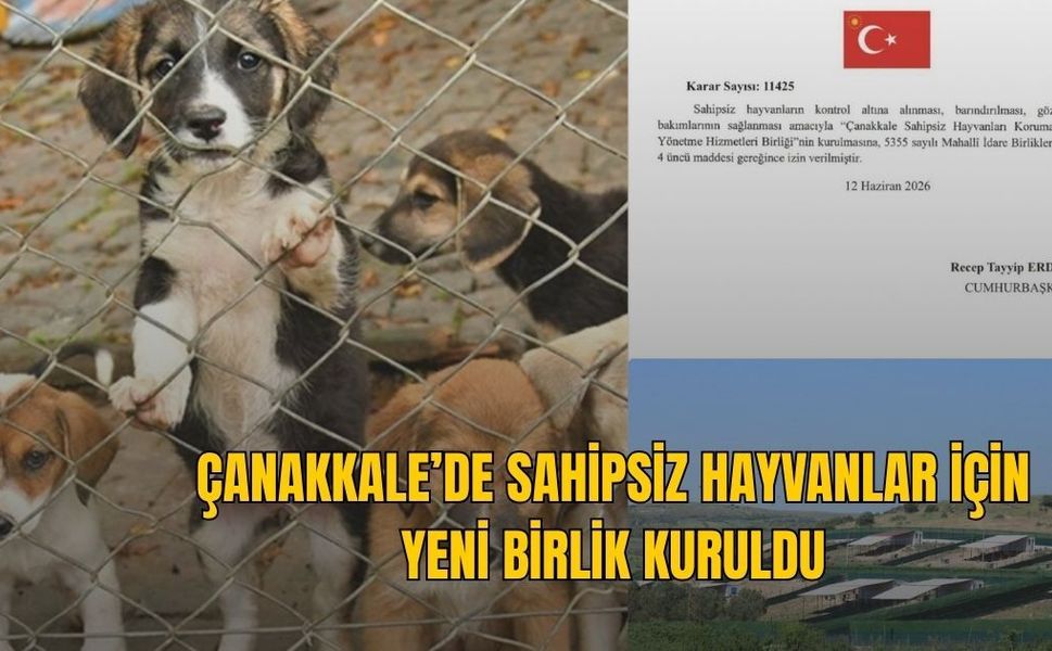 ÇANAKKALE’DE SAHİPSİZ HAYVANLAR İÇİN YENİ BİRLİK KURULDU