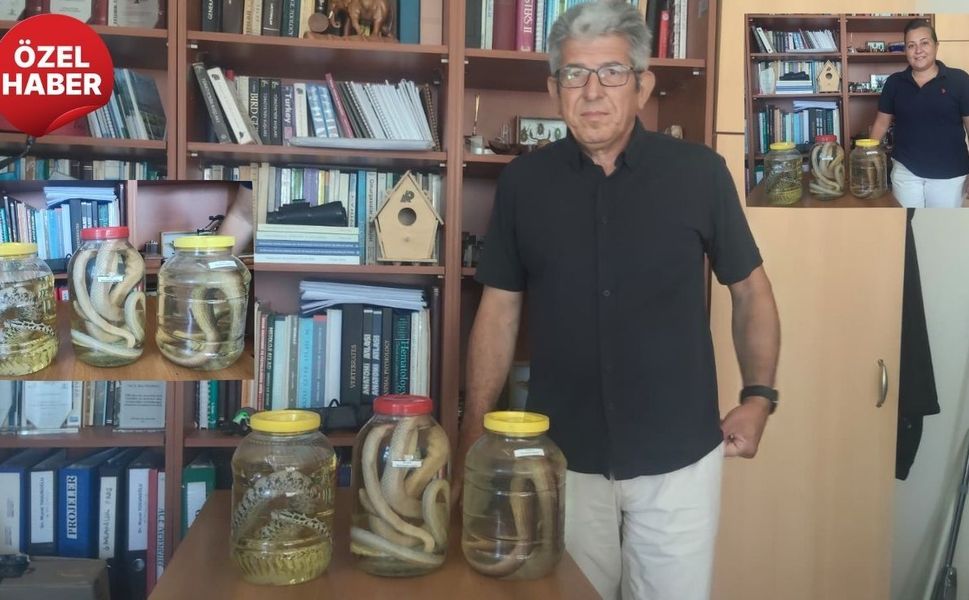Çanakkale'de Yılan Alarmı mı Var? ÇOMÜ'lü Uzmanlar Anlattı