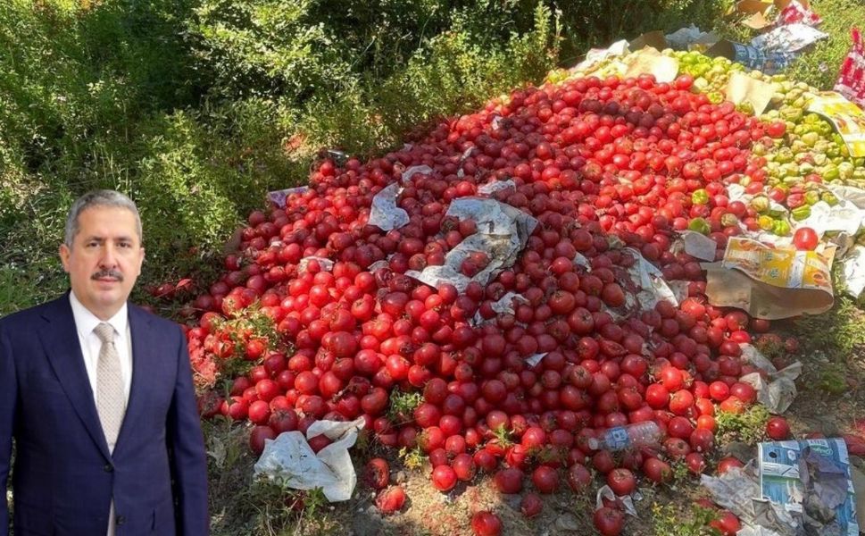 Bakan Yardımcısı Mahmut Gürcan Açıkladı: Biga'daki Sebze Dökümünde Sorumlu Tespit Edildi