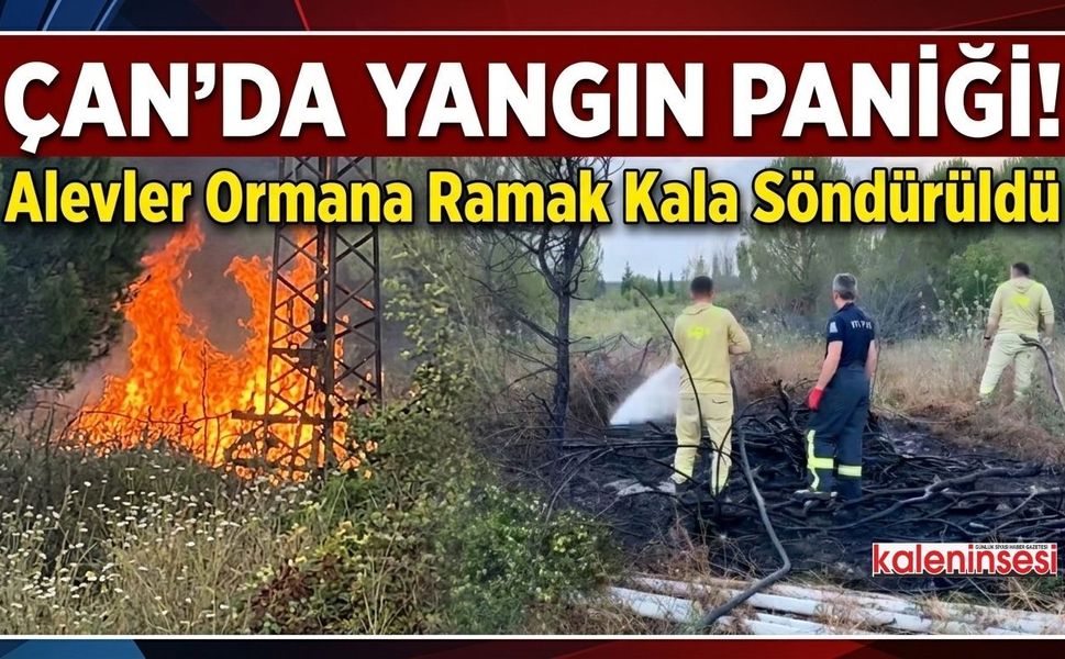 Çan'da Yangın Paniği! Alevler Ormana Ramak Kala Söndürüldü