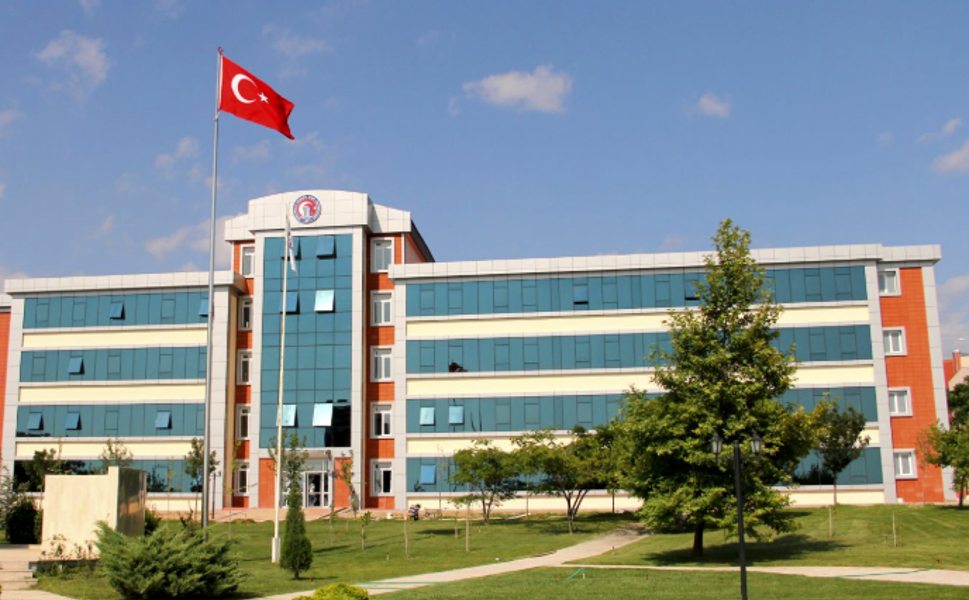 Türkiye'de ikinci oldu! ÇOMÜ'den dikkat çeken uluslararası başarı