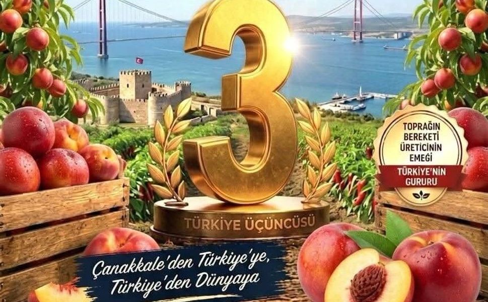 Çanakkale’de bereketli toprakların gücü: Nektarin üretiminde Türkiye 3.'süyüz