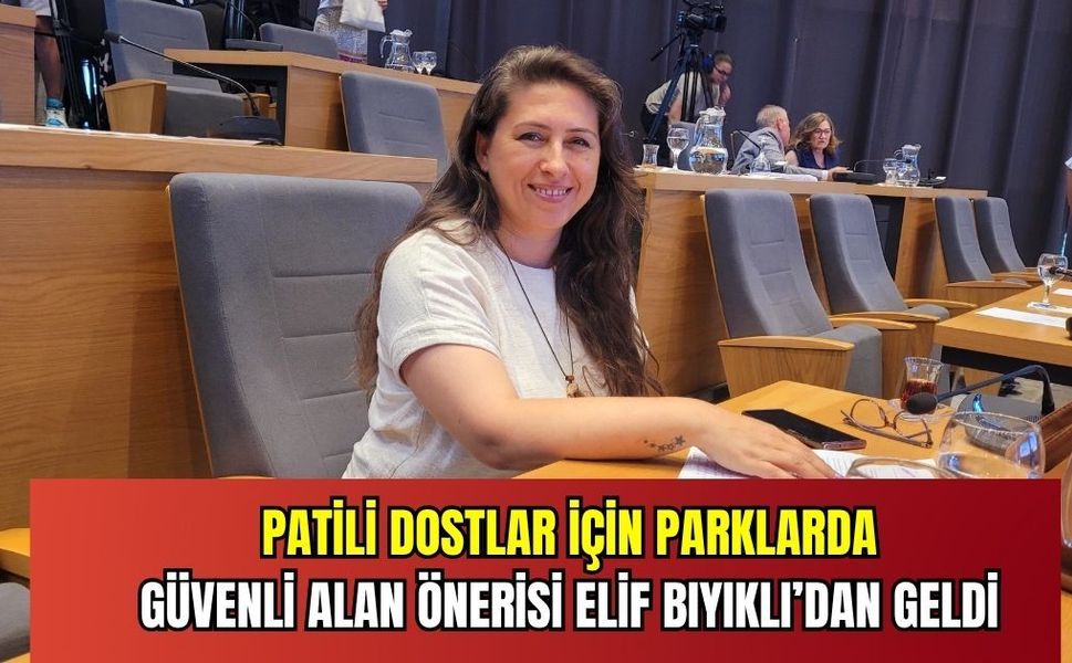 Patili dostlar için güvenli alan önerisi meclis gündemine geldi